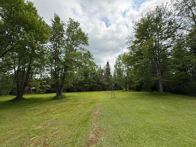 2077 S Princeton Rd, Baileyville, ME 04694 - photo 101