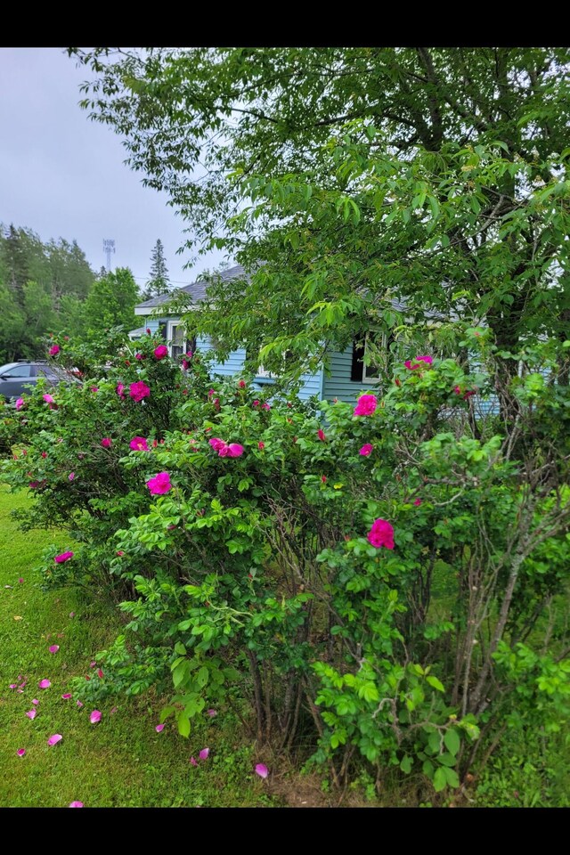 2077 S Princeton Rd, Baileyville, ME 04694 - photo 22