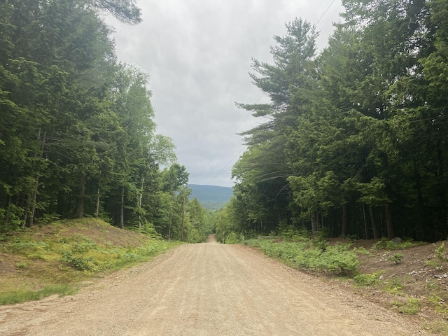 24 Fernalds Hill Way, Stow, ME 04037 - photo 1
