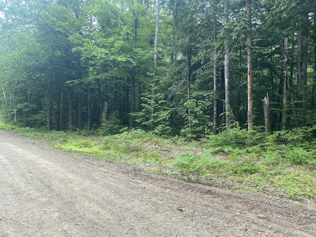 24 Fernalds Hill Way, Stow, ME 04037 - photo 2