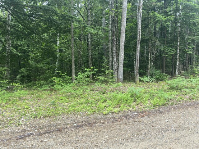 24 Fernalds Hill Way, Stow, ME 04037 - photo 3