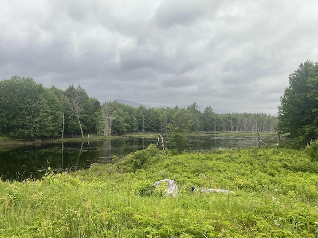 24 Fernalds Hill Way, Stow, ME 04037 - photo 6