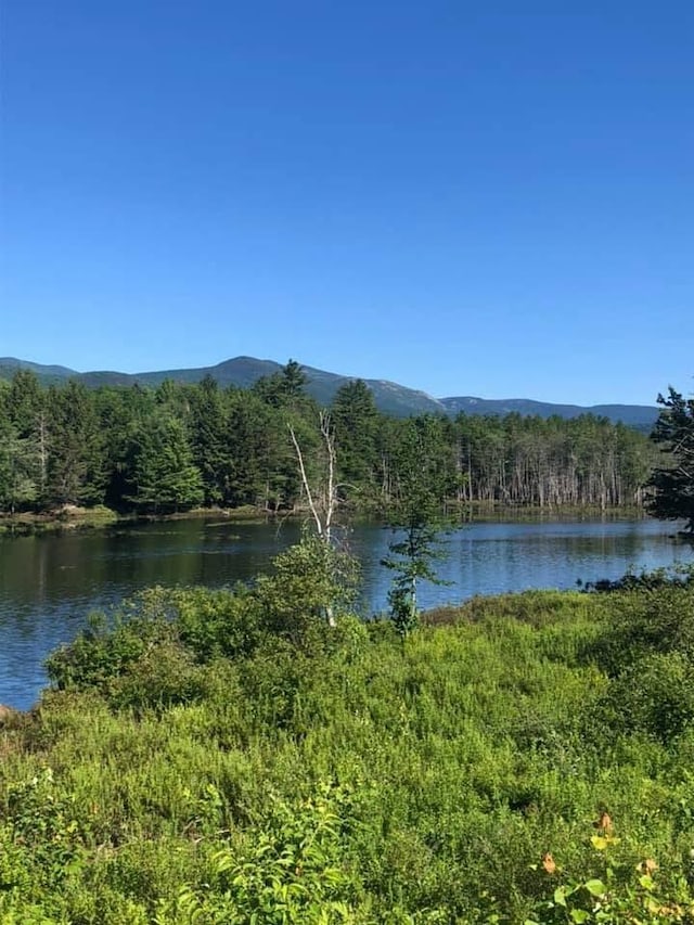 24 Fernalds Hill Way, Stow, ME 04037 - photo 8