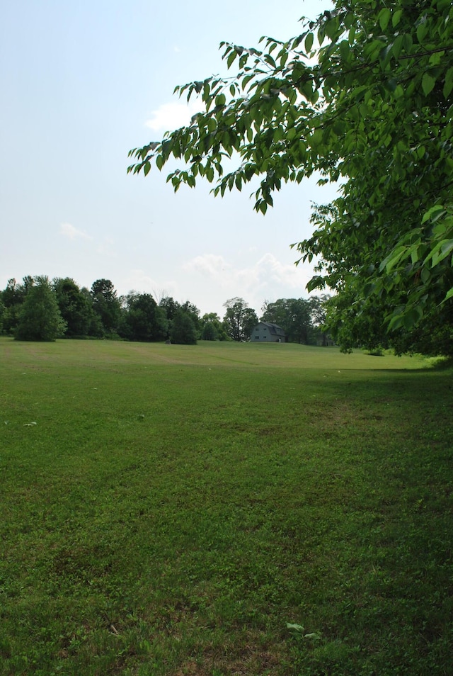 180 Chadbourne Rd, Harmony, ME 04942 - view of local wilderness