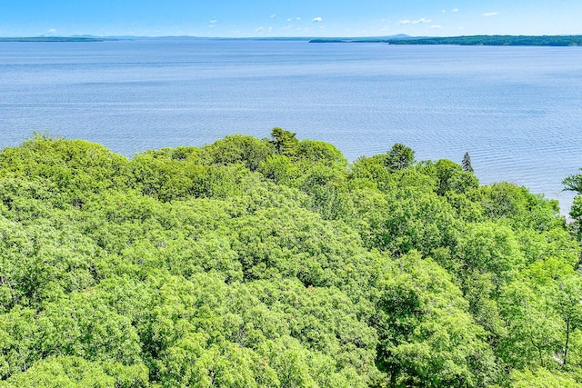 619 Shore Rd, Northport, ME 04849 - drone / aerial view of a large body of water