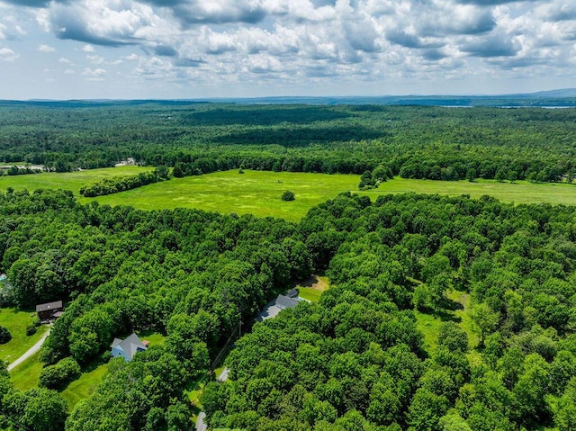 3350 Middle Rd, Sidney, ME 04330 - aerial view of a forest
