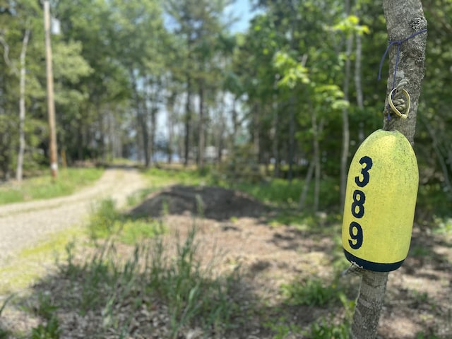 389 Main Rd, Islesboro, ME 04848