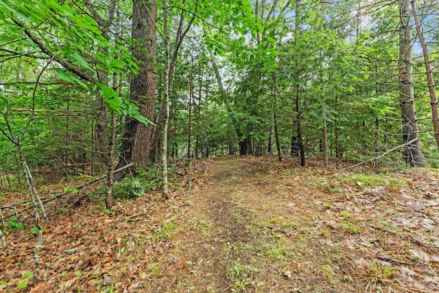 526 E Main St, Yarmouth, ME 04096 - view of wooded area