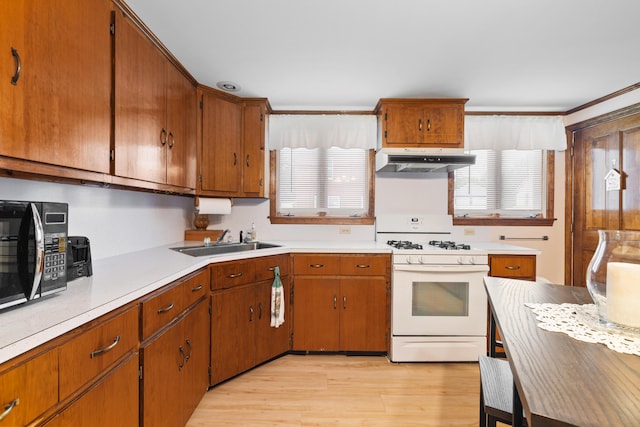 33 Maple St, Limerick, ME 04048 - kitchen featuring white gas range oven, under cabinet range hood, black microwave, and light countertops