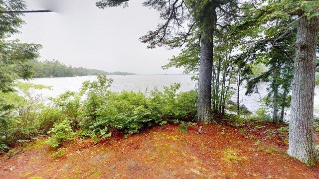 40 Polliwog Ln, Surry, ME 04684 - photo 39