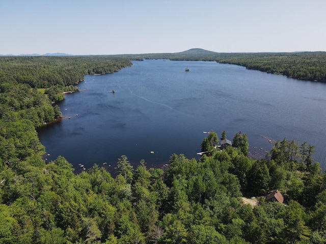 40 Polliwog Ln, Surry, ME 04684 - photo 2