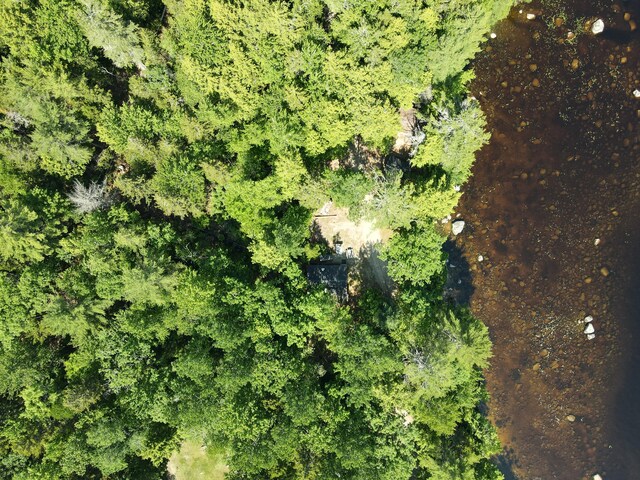 40 Polliwog Ln, Surry, ME 04684 - photo 48