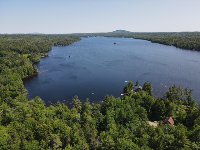 40 Polliwog Ln, Surry, ME 04684 - photo 57