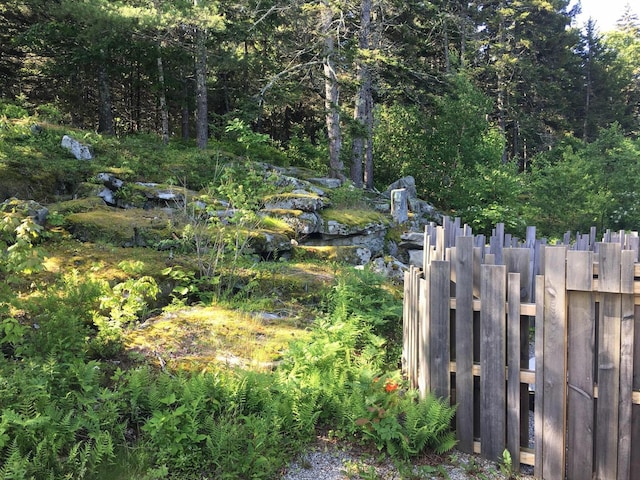 701 Wallston Rd, Saint George, ME 04860 - view of yard