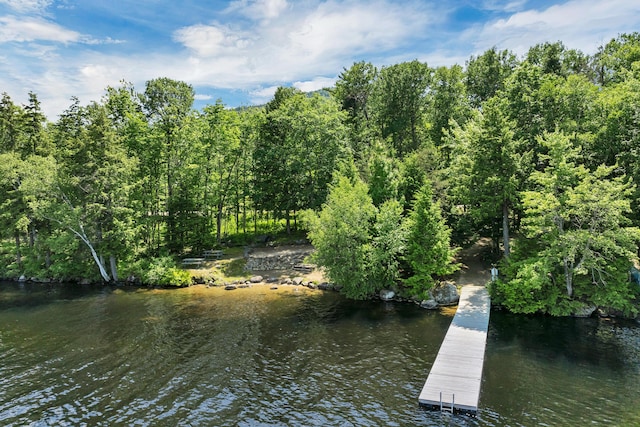 33 Brewster Cir Unit 33, Bridgton, ME 04009 - photo 26