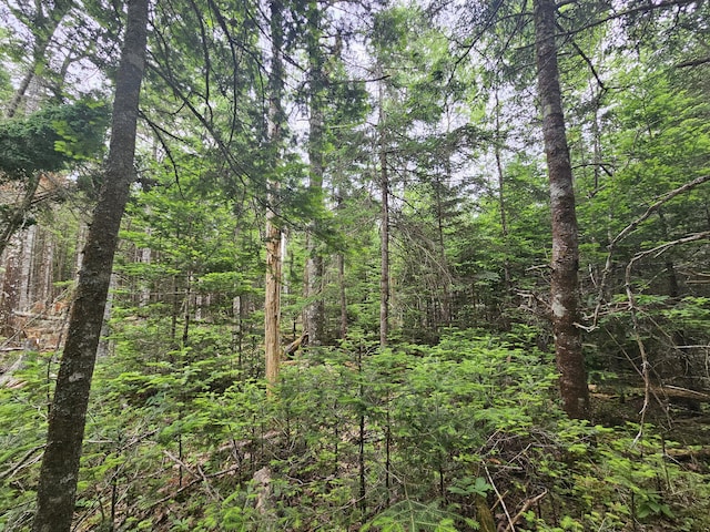 M14L16 US Route 1st Rte, Steuben, ME 04680