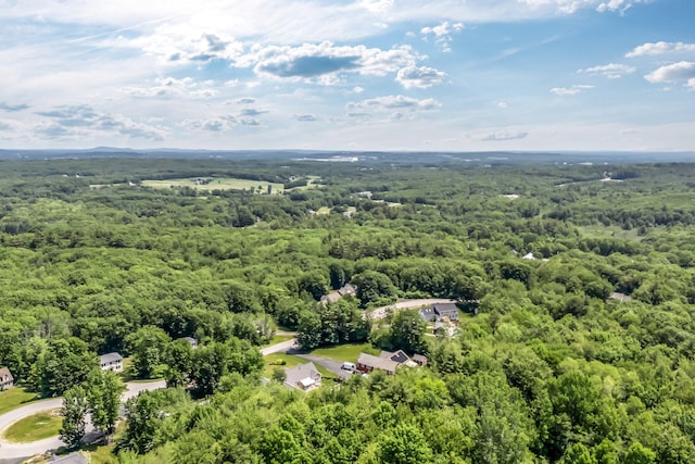 187 Hickory Dr, Auburn, ME 04210 - bird's eye view of a heavily wooded area