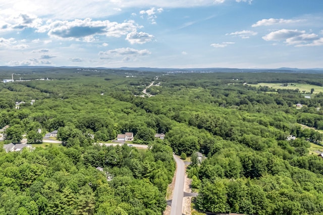 187 Hickory Dr, Auburn, ME 04210 - aerial view of a forest
