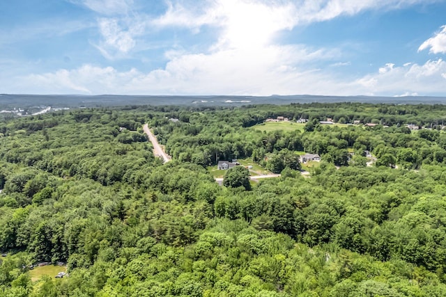 187 Hickory Dr, Auburn, ME 04210 - bird's eye view of a forest