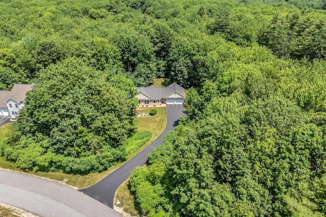 187 Hickory Dr, Auburn, ME 04210 - bird's eye view of a forest