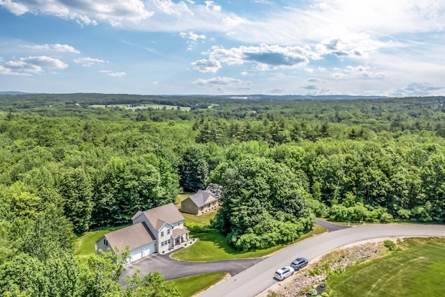 187 Hickory Dr, Auburn, ME 04210 - bird's eye view of a forest