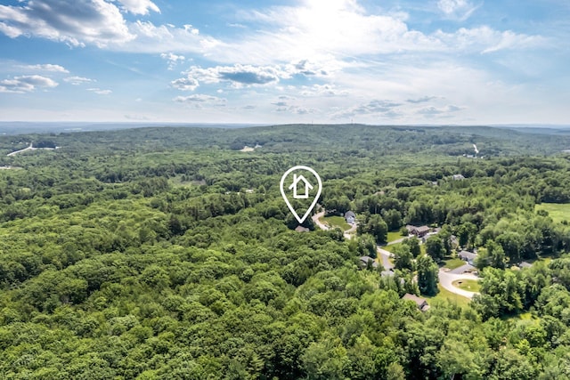 187 Hickory Dr, Auburn, ME 04210 - bird's eye view of a heavily wooded area