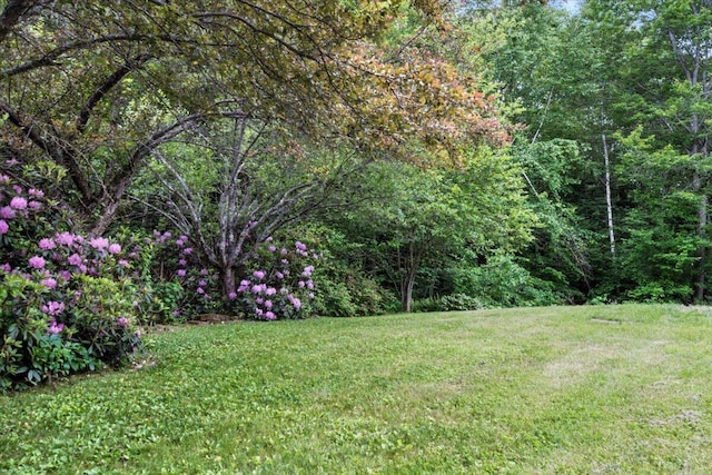 189 Old Chadbourne Rd, Lewiston, ME 04240 - view of grassy yard with a forest view