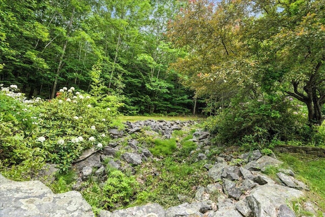 189 Old Chadbourne Rd, Lewiston, ME 04240 - view of woods