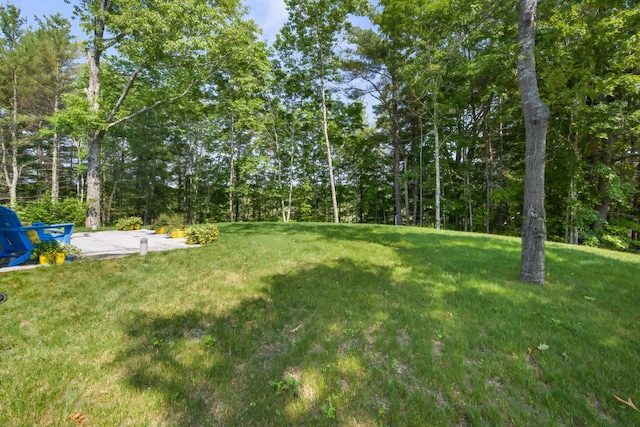 1719 Dixmont Rd, Etna, ME 04434 - view of grassy yard featuring a patio area