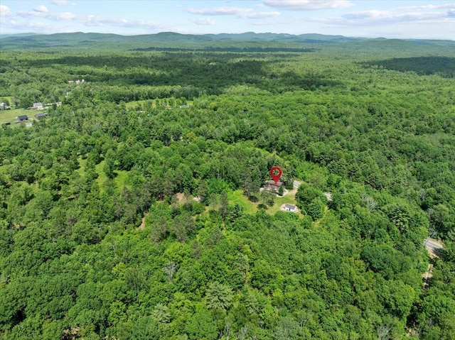 647 Maplewood Rd, Newfield, ME 04095 - photo 34