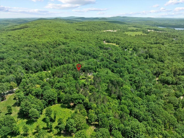 647 Maplewood Rd, Newfield, ME 04095 - photo 35