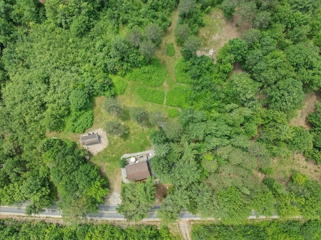 647 Maplewood Rd, Newfield, ME 04095 - photo 6