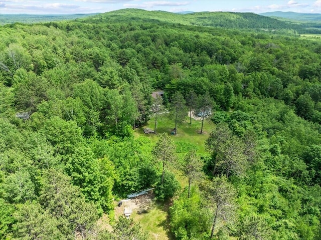 647 Maplewood Rd, Newfield, ME 04095 - photo 38