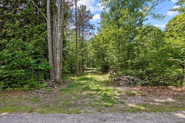 647 Maplewood Rd, Newfield, ME 04095 - photo 39