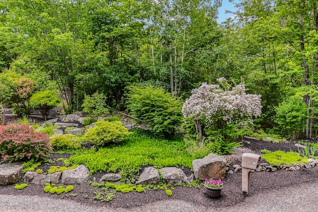 14 Old County Rd, South Berwick, ME 03908 - view of yard