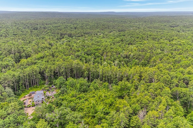 14 Old County Rd, South Berwick, ME 03908 - bird's eye view of a heavily wooded area