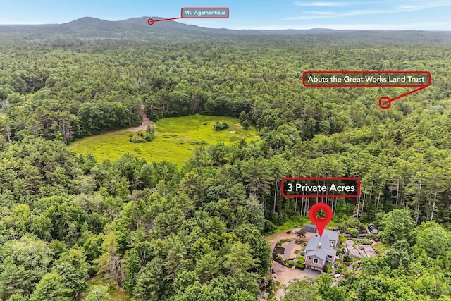 14 Old County Rd, South Berwick, ME 03908 - bird's eye view of a forest