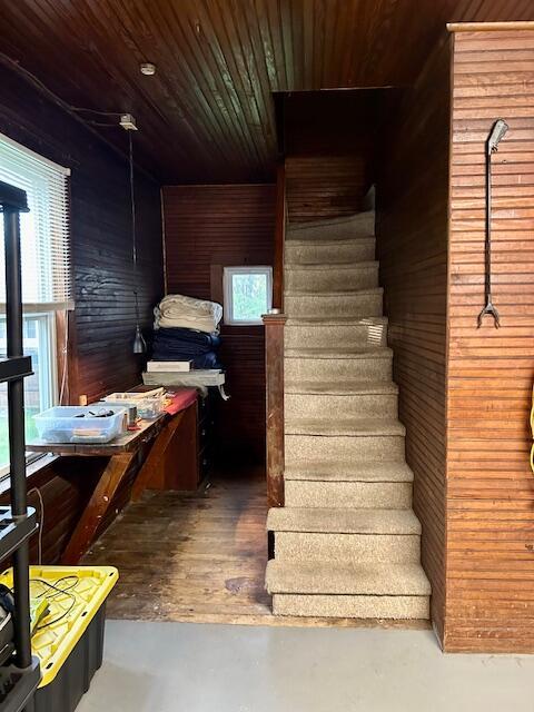 28 Holly St, Auburn, ME 04210 - staircase with wood walls, finished concrete floors, and wooden ceiling