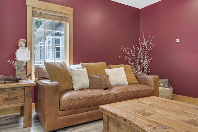16 Keystone Spring Rd, Poland, ME 04274 - living room featuring light wood finished floors