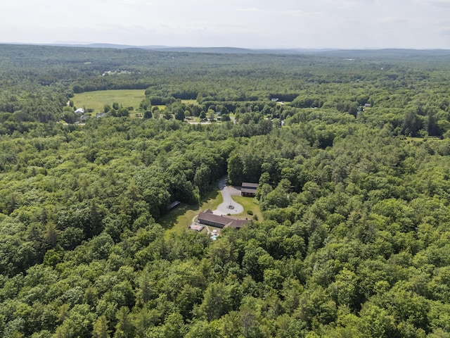 16 Keystone Spring Rd, Poland, ME 04274 - bird's eye view of a forest