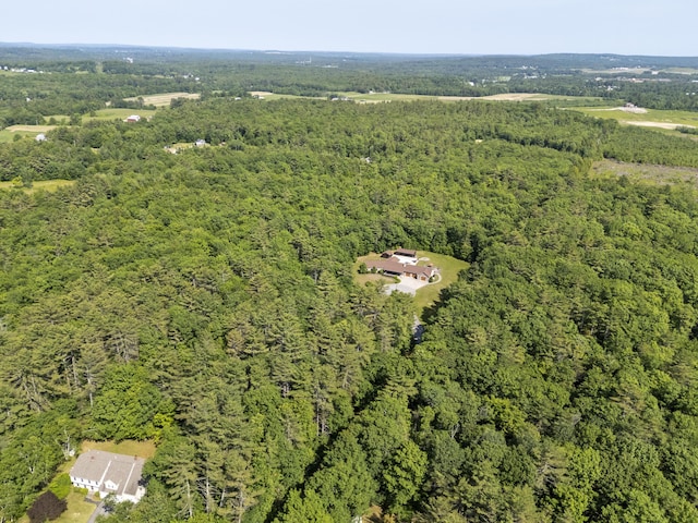 16 Keystone Spring Rd, Poland, ME 04274 - view of property location featuring a forest