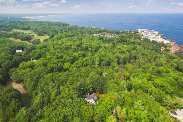 4 Fairbourne Ln, York, ME 03902 - aerial view of property's location with a heavily wooded area and a nearby body of water
