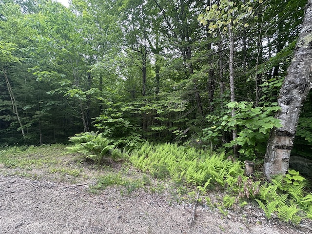 R13-023-B Hobbs Rd, Greenwood, ME 04255 - photo 1