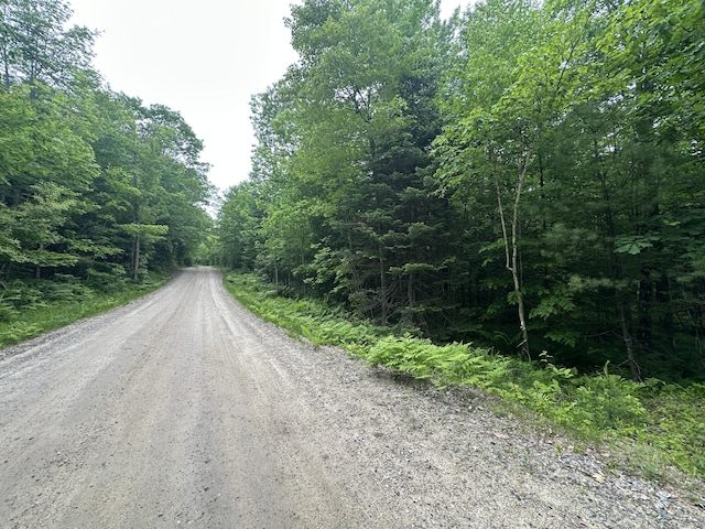 R13-023-B Hobbs Rd, Greenwood, ME 04255 - photo 2