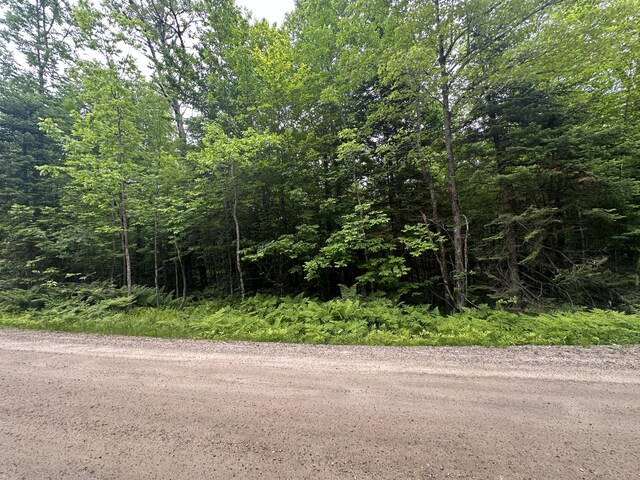 R13-023-B Hobbs Rd, Greenwood, ME 04255 - photo 3