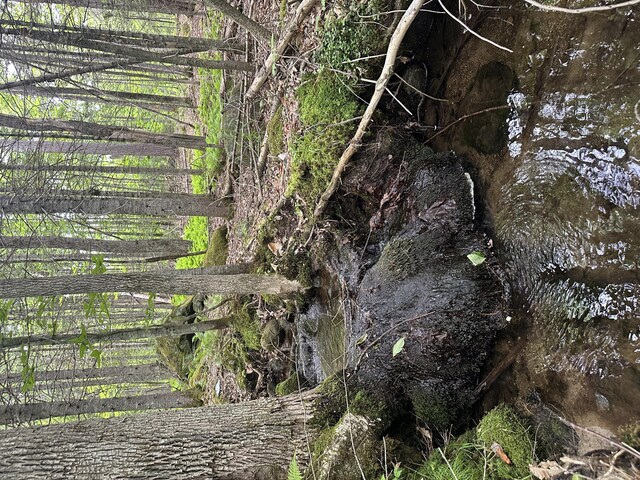 R13-023-B Hobbs Rd, Greenwood, ME 04255 - photo 5