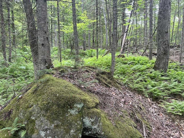 R13-023-B Hobbs Rd, Greenwood, ME 04255 - photo 6