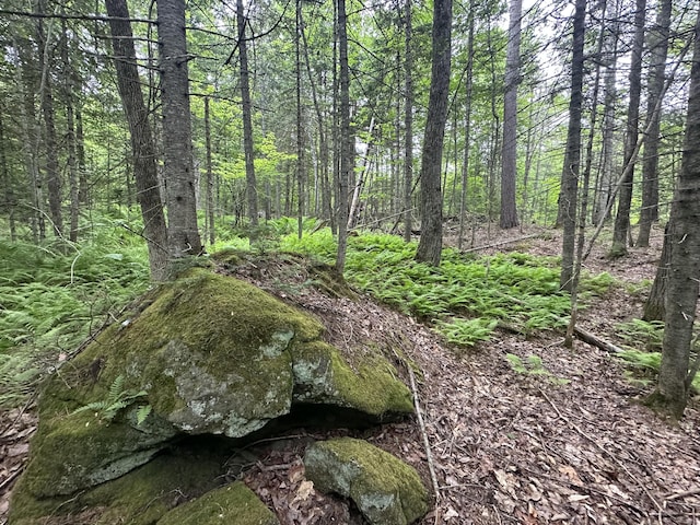 R13-023-B Hobbs Rd, Greenwood, ME 04255 - photo 7
