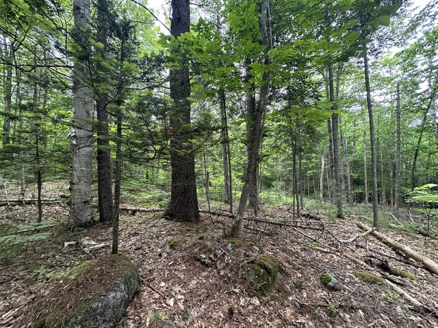 R13-023-B Hobbs Rd, Greenwood, ME 04255 - photo 8