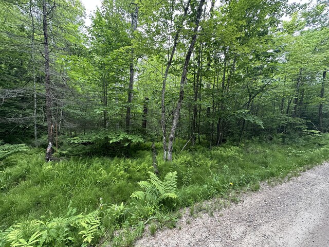 R13-023-B Hobbs Rd, Greenwood, ME 04255 - photo 10